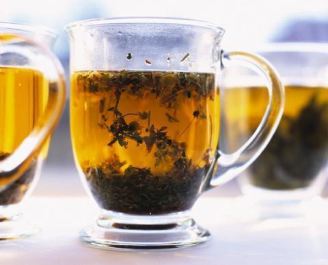 Спорыш или горец птичий