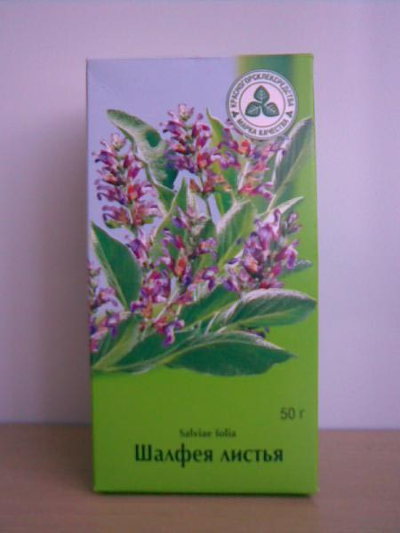 Листья шалфея