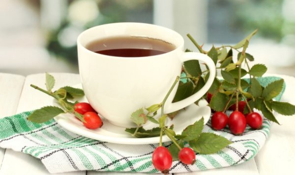 настой шиповника