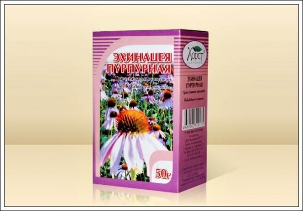 сухая трава эхинацеи