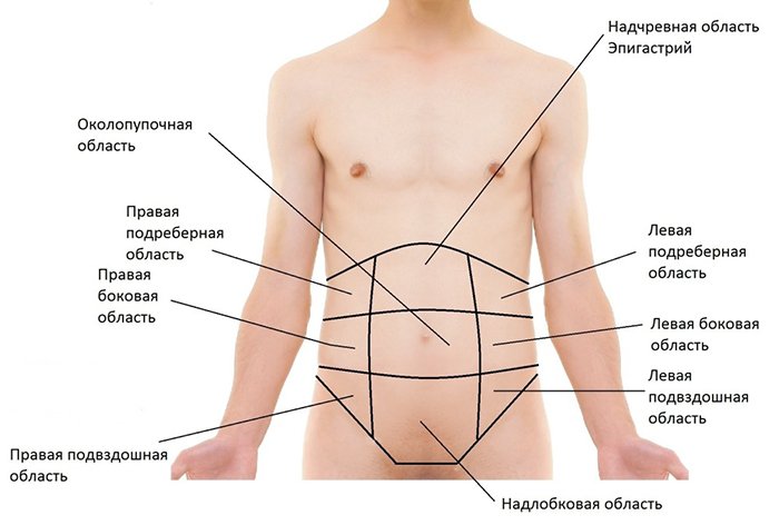 Схема области живота