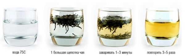 Как заваривать зелёный чай
