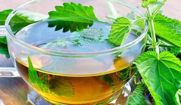 Ополаскивание волос отваром крапивы