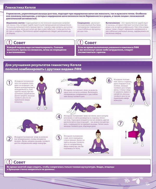 Гимнастика Кегеля