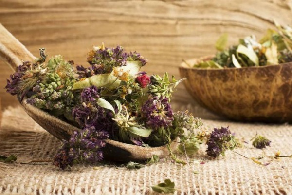 Лечение лекарственными растениями