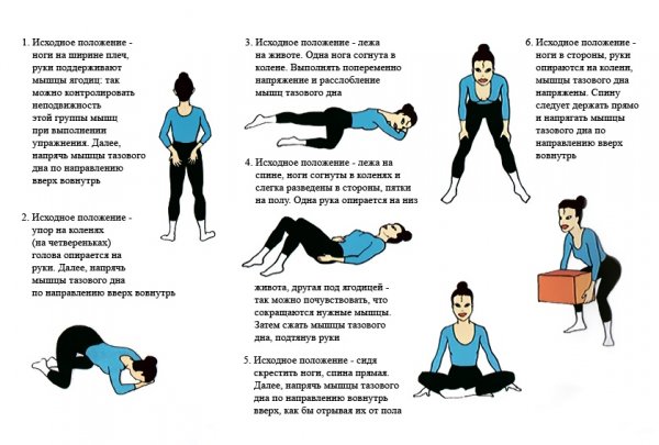 Упражнения Кегеля для укрепления мышц тазового дна