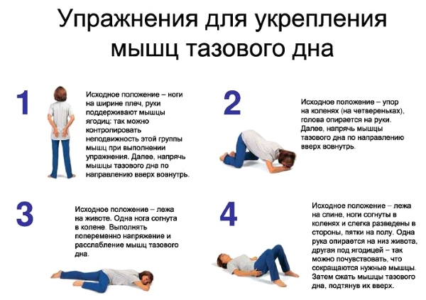 Базовые упражнения для укрепления мышц тазового дна