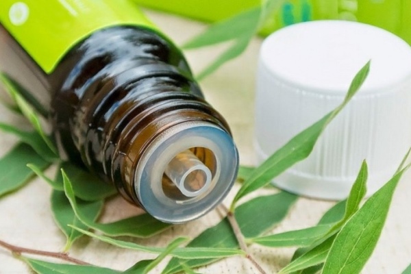 Масло чайного дерева