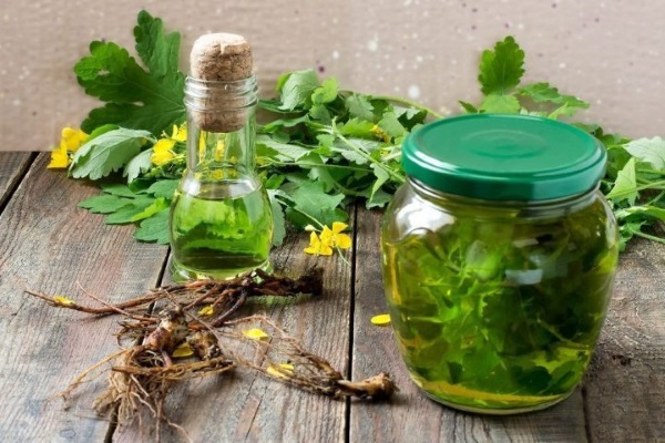 Настойка из чистотела