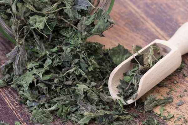 Сушенная крапива для отвара