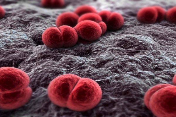 Менингококковая инфекция