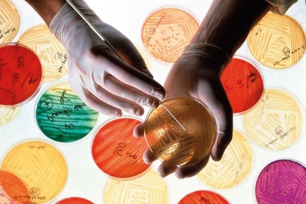 Метод диагностирования заболевания