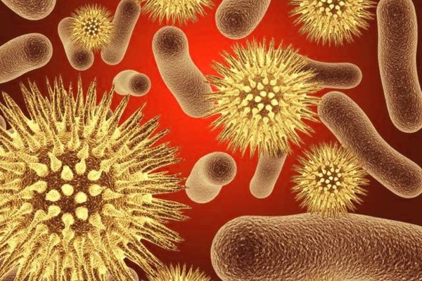 Уреаплазма