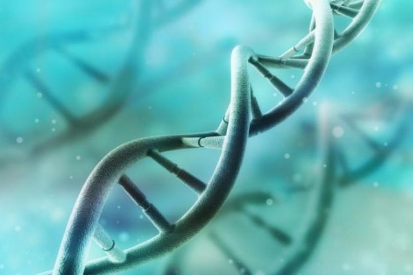 Экзогенная инфекция