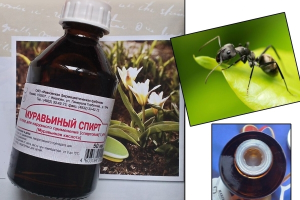 муравьиный спирт