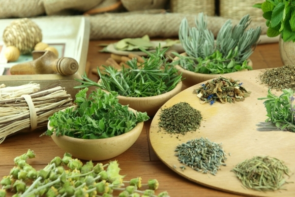 Лекарственные травы