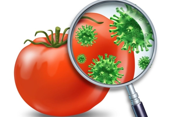 Инфекция на продуктах