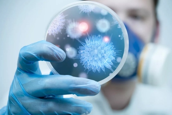 Микст-инфекция