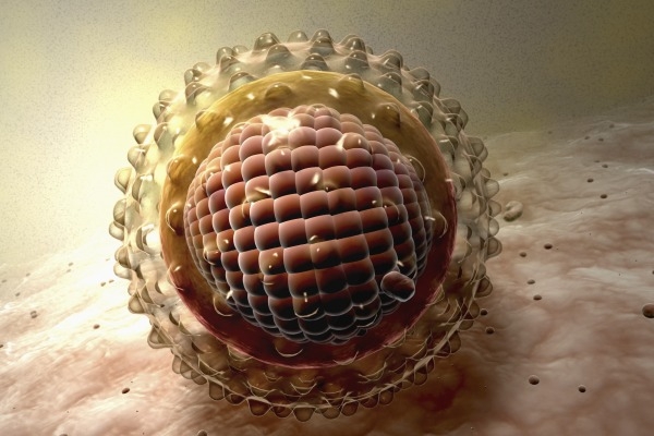 Вирус гепатита