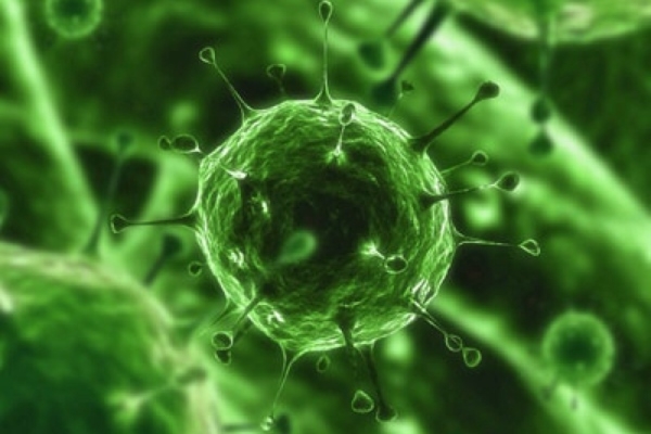 Инфекционные заболевания