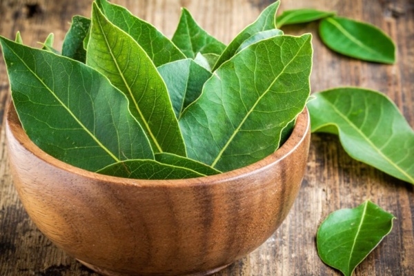 Лавровый лист