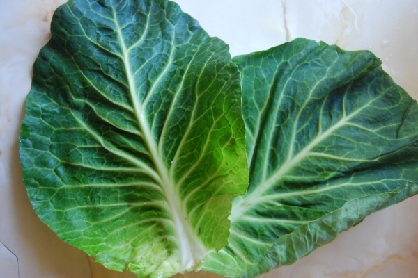 Листы капусты